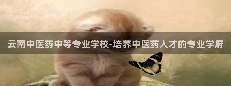 九游会吧