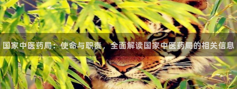 九游会注册网址