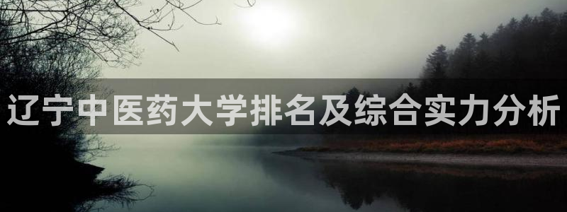九游会登录网站吗