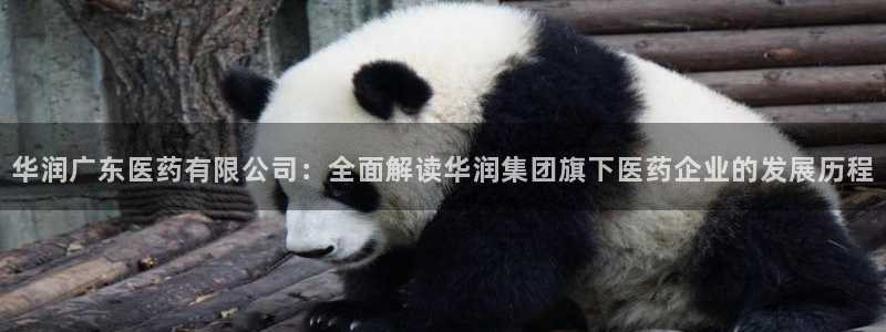 九游会首页进入