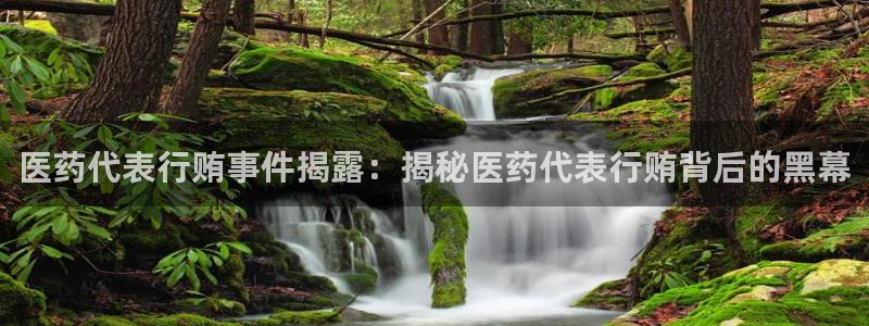 j9九游会首页入口