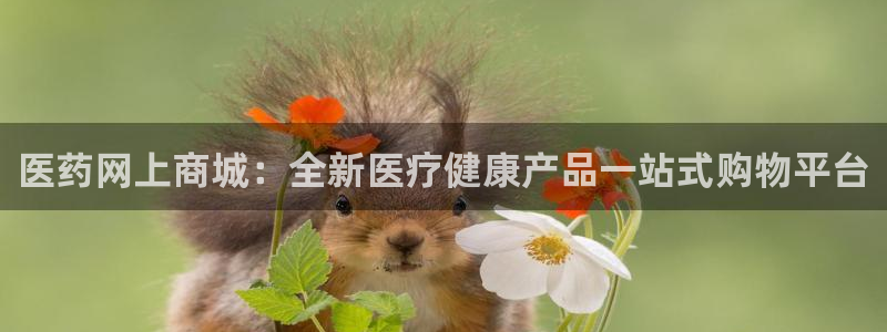 j9九游会app官网下载