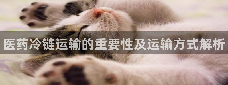 九游会j9登录官网