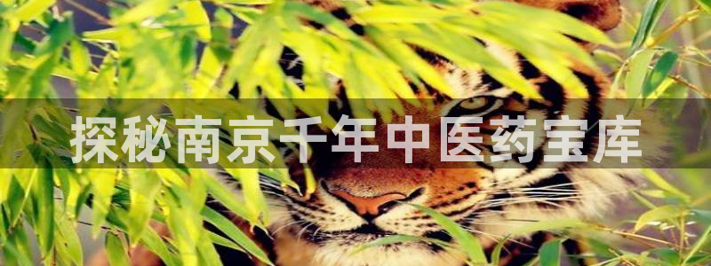 九游J9真人游戏第一品牌