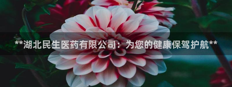九游会视讯