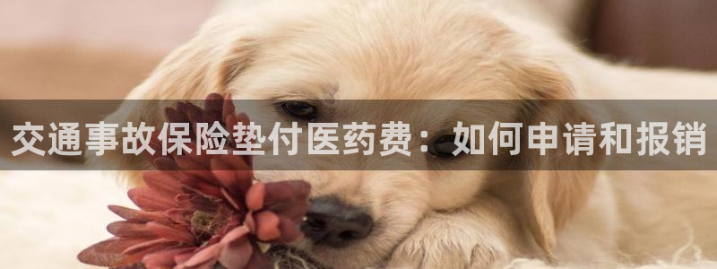 j9官网豪华游
