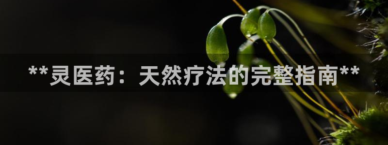 九游会游戏官方登录