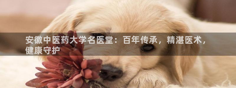 九游会账号登录网址