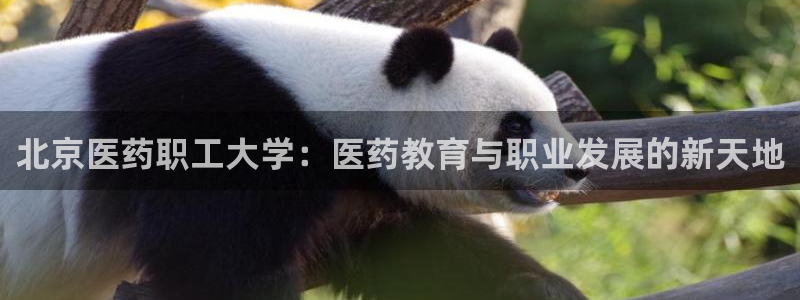 九游会网站登录
