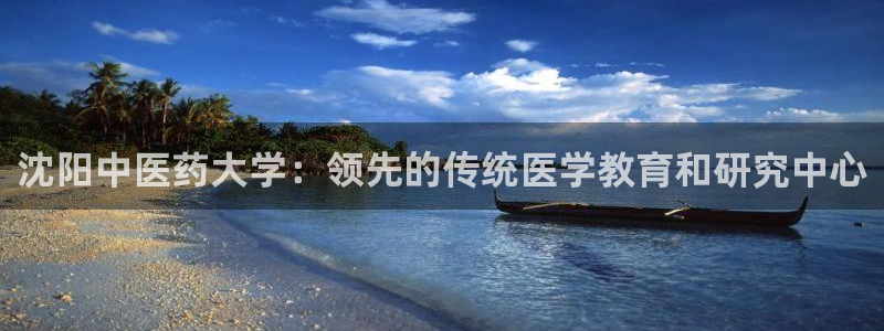 j9九游会官方网站国际怎么样