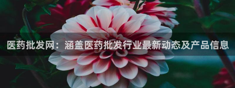 九游会官网进入口：医